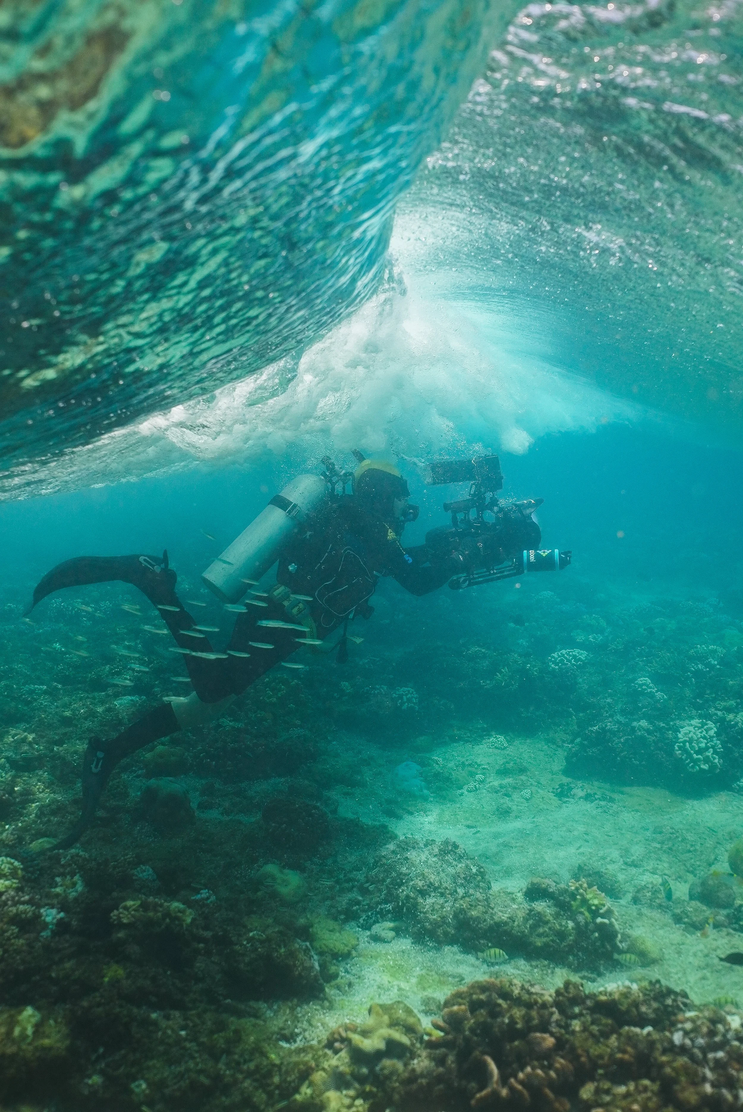 Scuba diver underwater near coral reef.