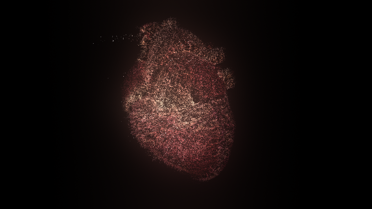 Meat of Heart - Reflections