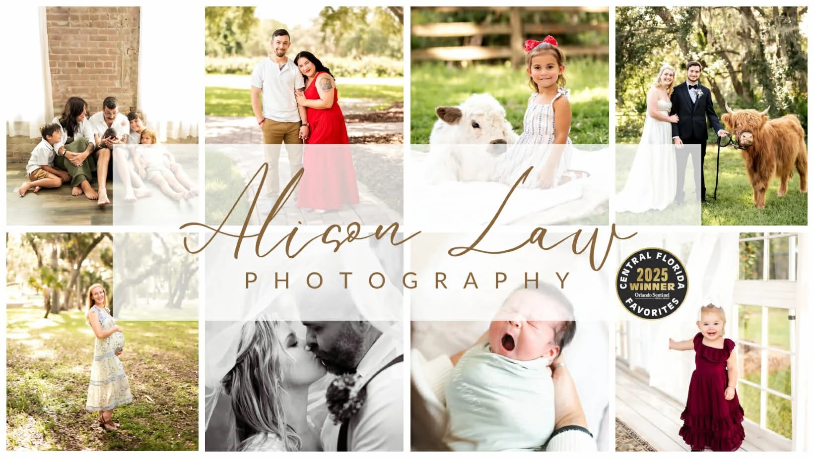 Alison Law Photography