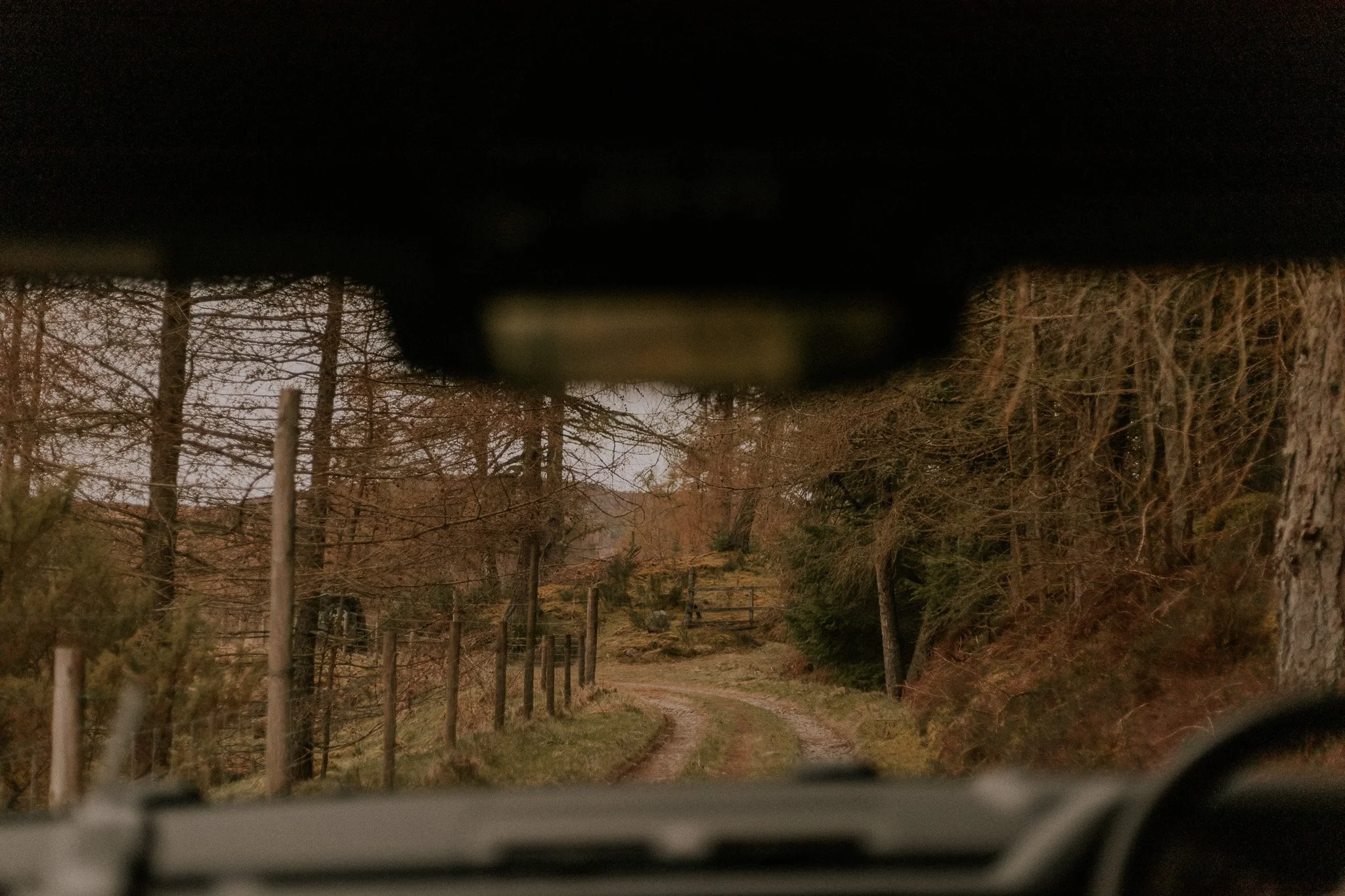 Dirt road winding through a wooded rural area viewed from inside a vehicle, with trees on both sides and a wooden fence on the left.