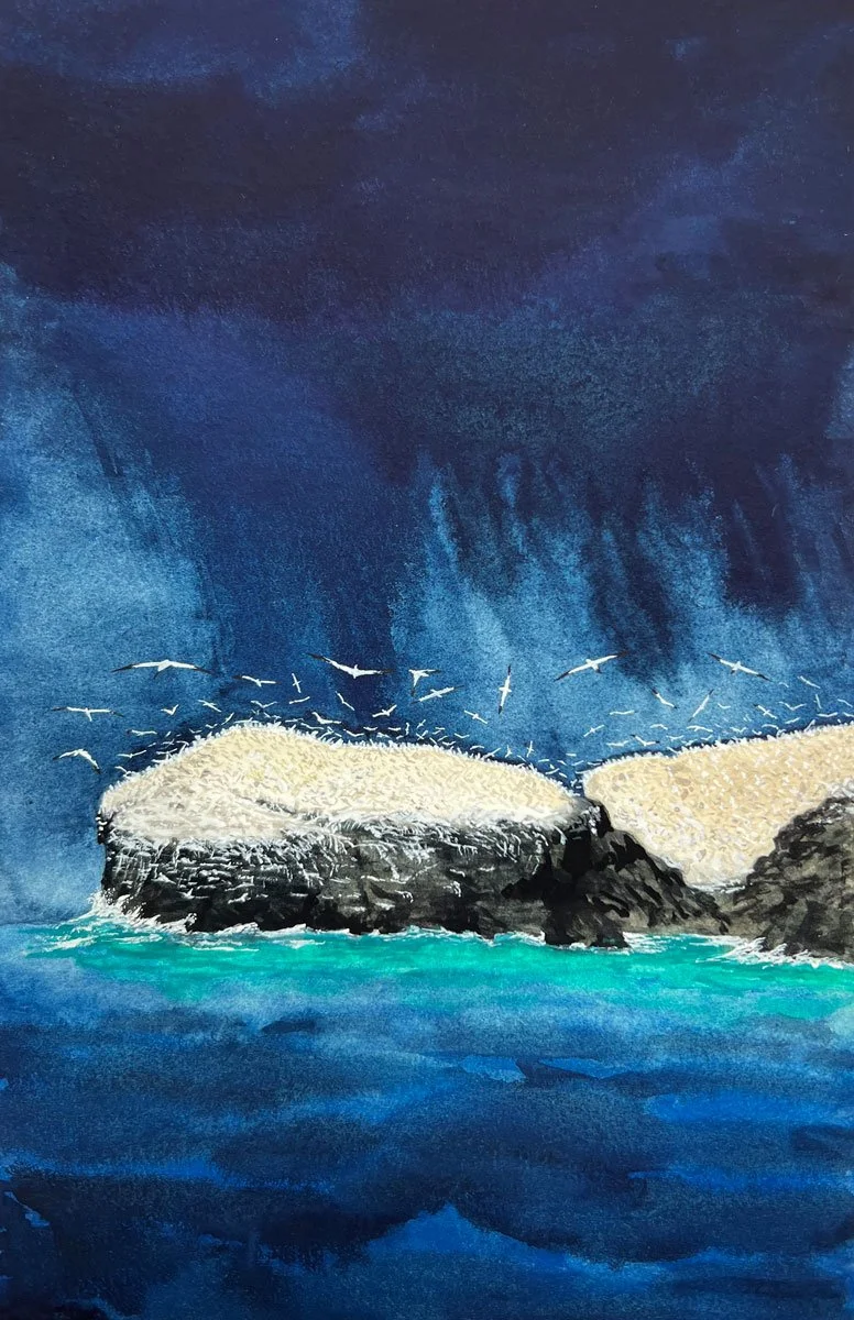 Grassholm - Paper | Gouache | 26 x 17 cm