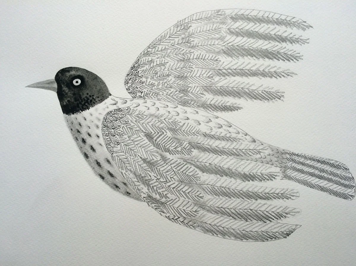 Flying Bird - Paper | Pencil And Black Ink | 22 x 13 cm