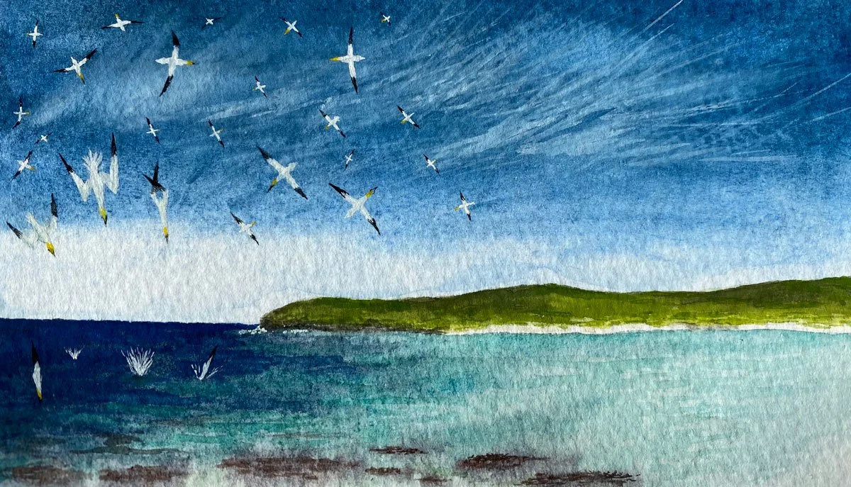 Diving Gannets - Paper | Gouache | 14 x 11 cm