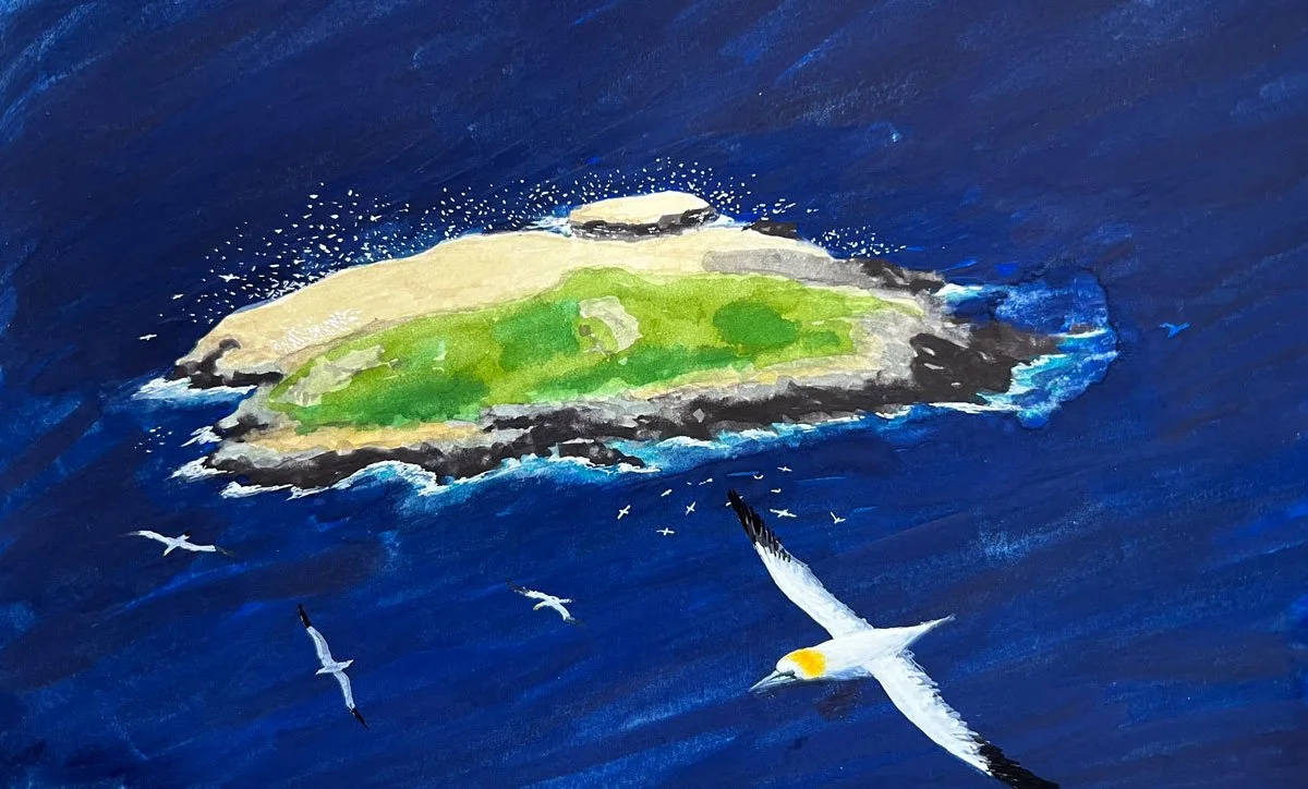 Gannets Over Grassholm - Paper | Gouache | 21 x 13 cm