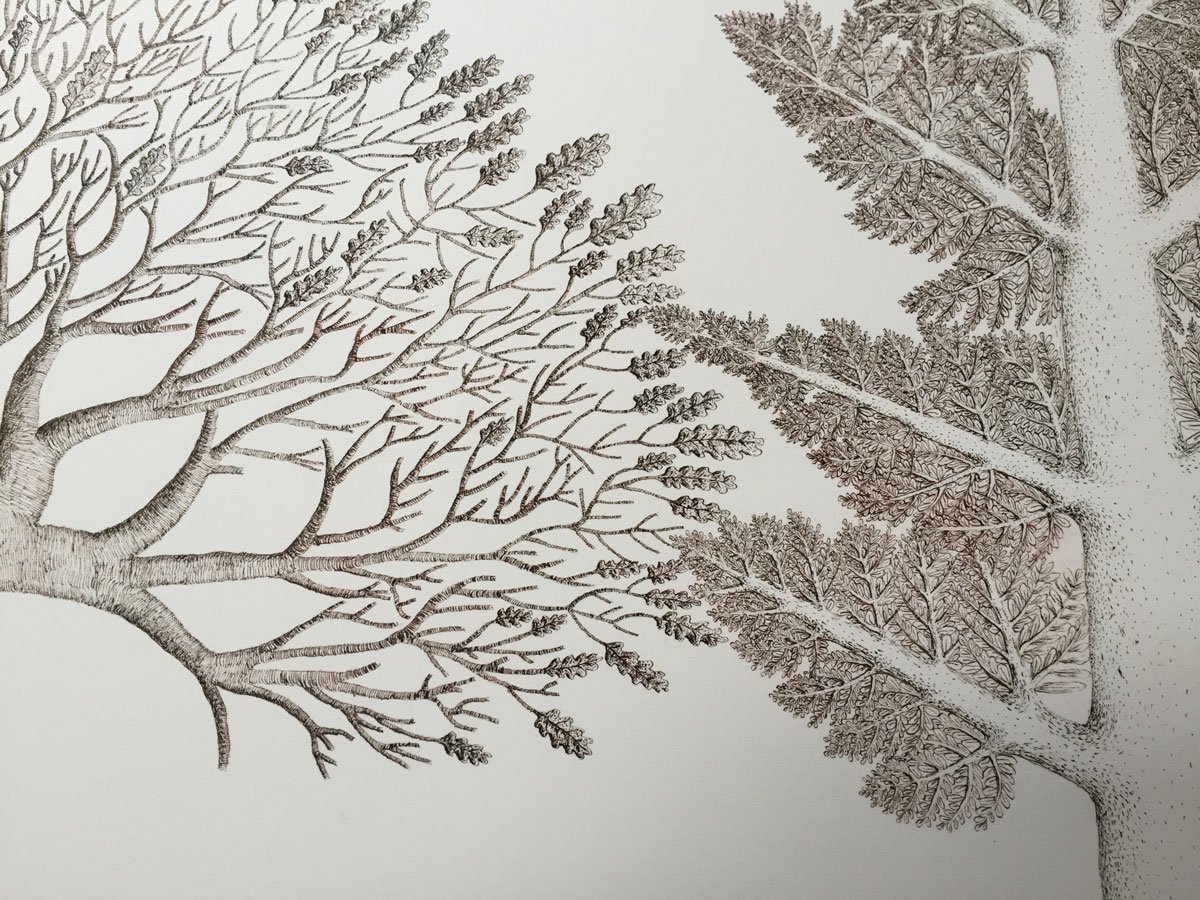 Two Trees - Paper | Sepia Ink And Dip Pen | 23 x 34 cm