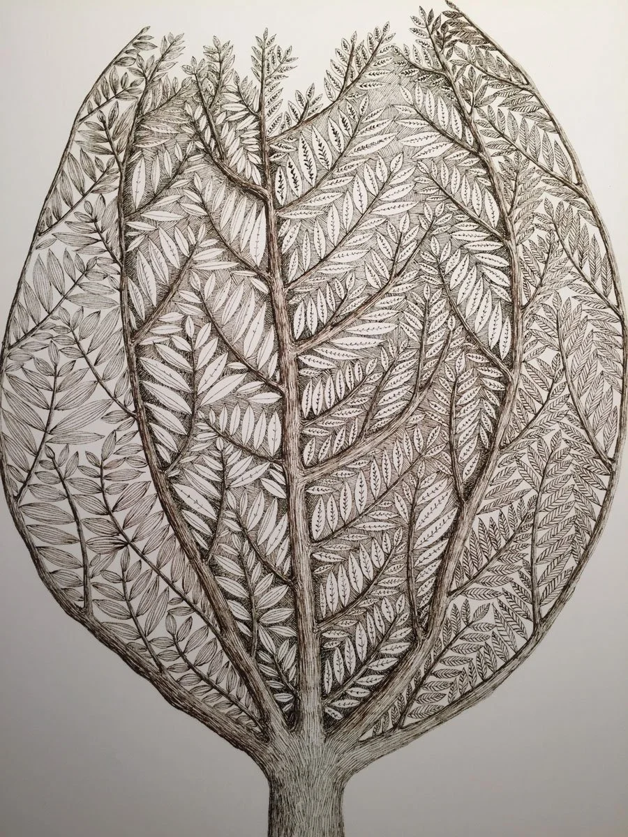 Closed Tree - Paper | Sepia Ink And Dip Pen | 11 x 10 cm