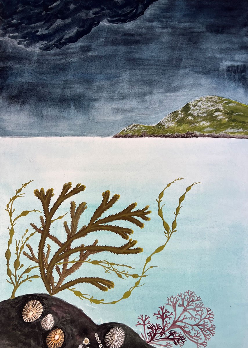 Seaweeds and Limpets - Paper | Gouache | 36 x 26 cm 