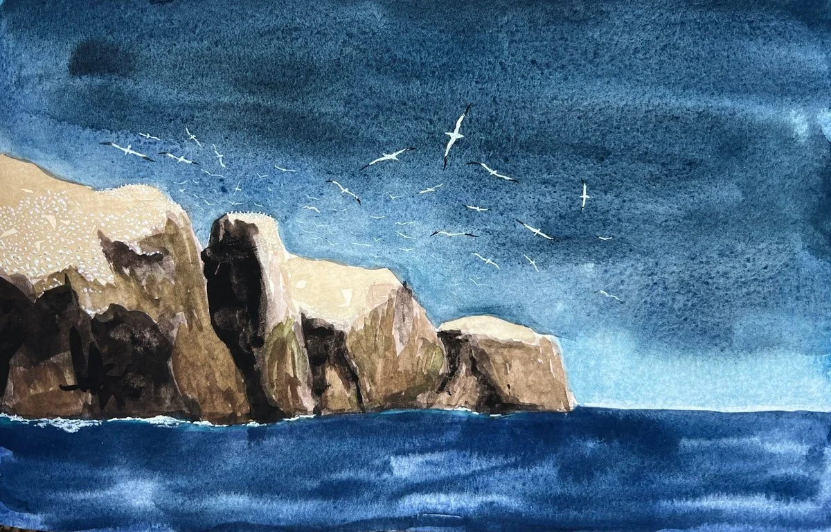 Gannets II - Paper | Gouache | 21 x 13 cm