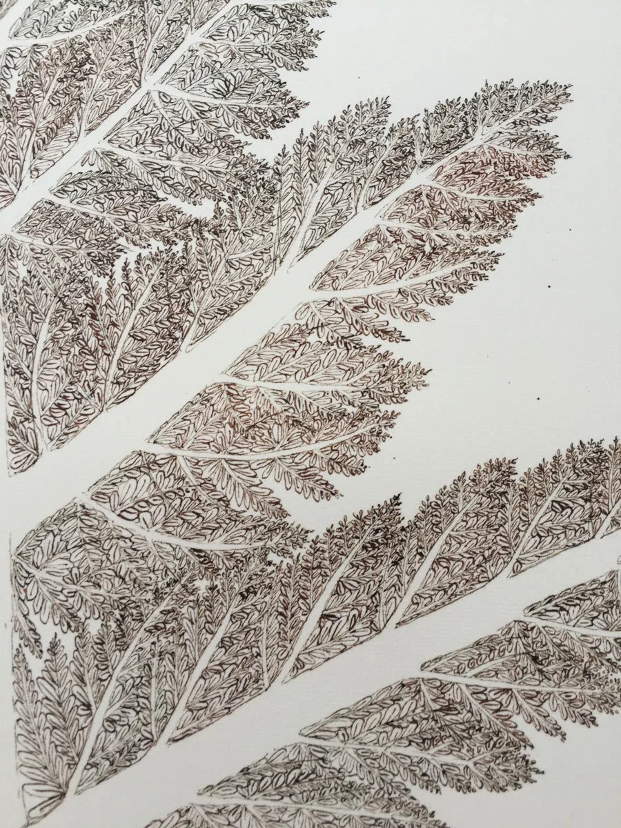 Tree (Detail) - Paper | Sepia Ink And Dip Pen | 23 x 34 cm