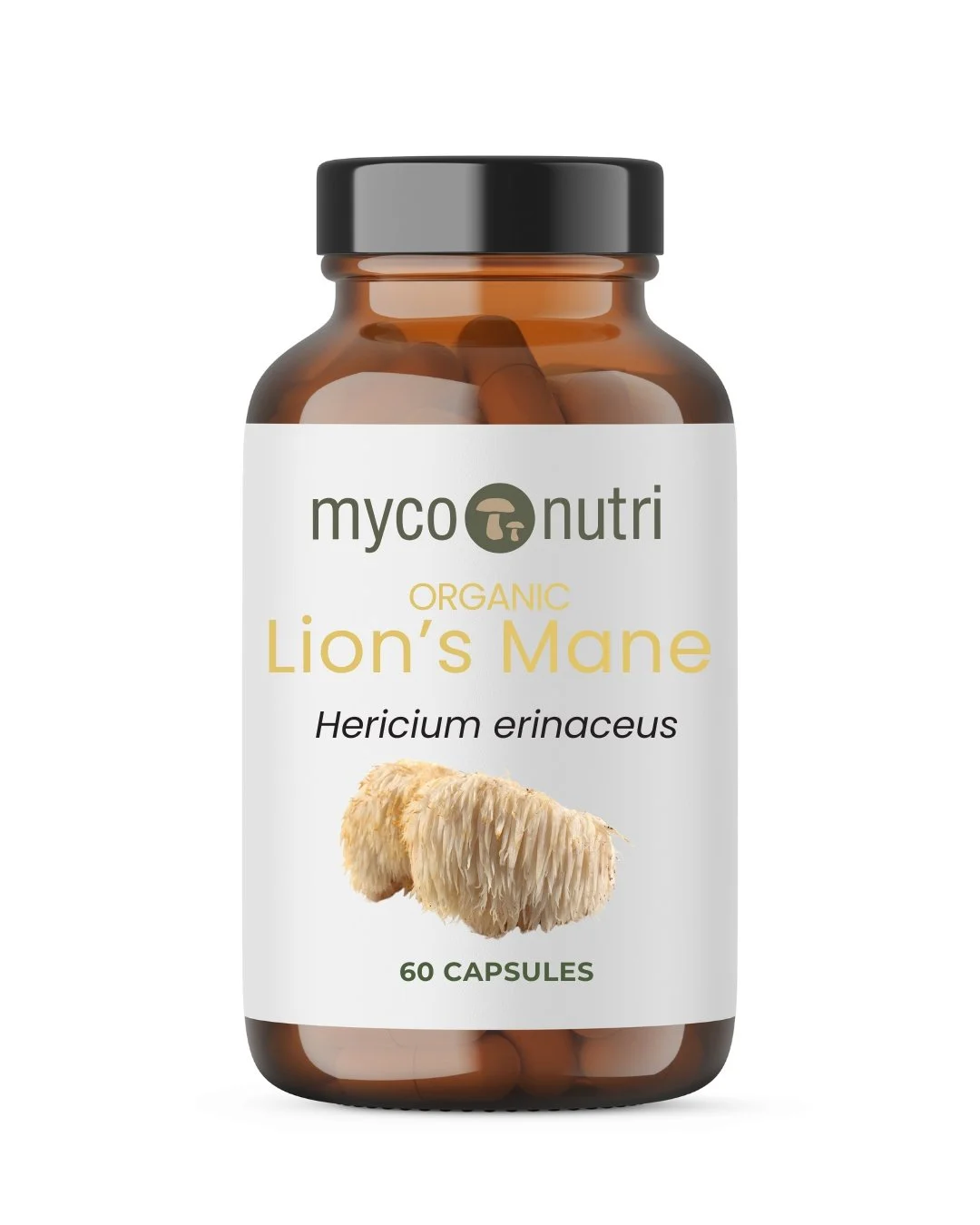 Lion's Mane