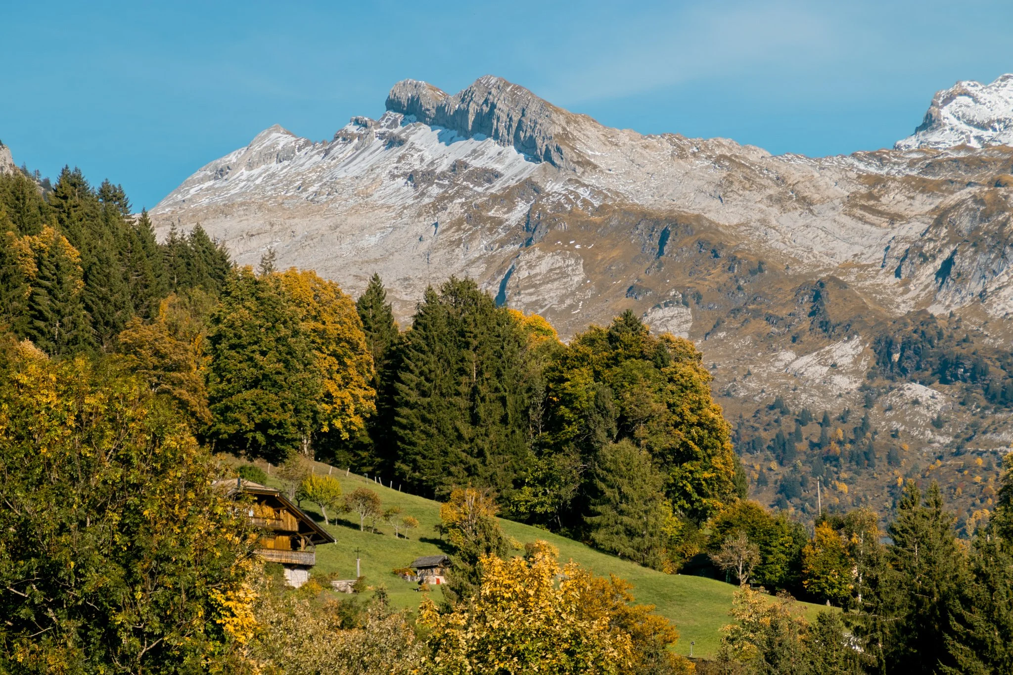 Montagnes avec sommet enneigé, forêt dense, maisons de campagne dans une vallée verte, ciel clair.