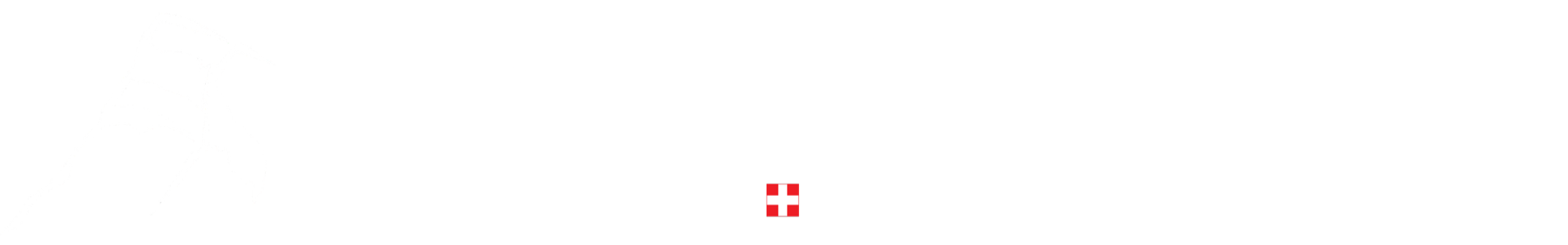 Logo de Grapondo avec un sommet de montagne en silhouette, le texte 'Grapondo' en grand, et 'Montagnes du Giffre SAMOENS' dessous avec un drapeau suisse.