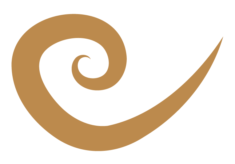 Motif en forme de spiral brun sur fond noir.