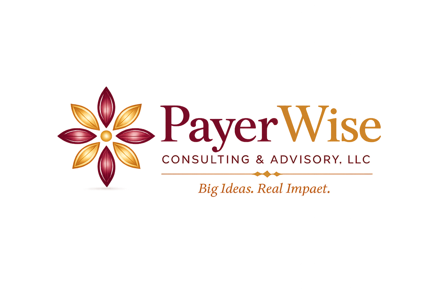 PayerWise Consulting &amp; Advisory