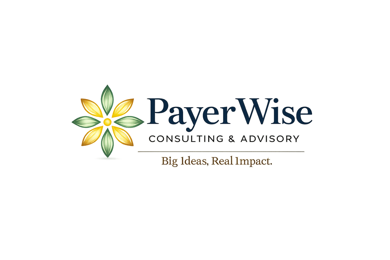 PayerWise Consulting &amp; Advisory