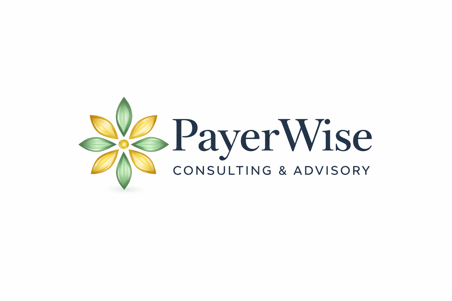 PayerWise Consulting &amp; Advisory