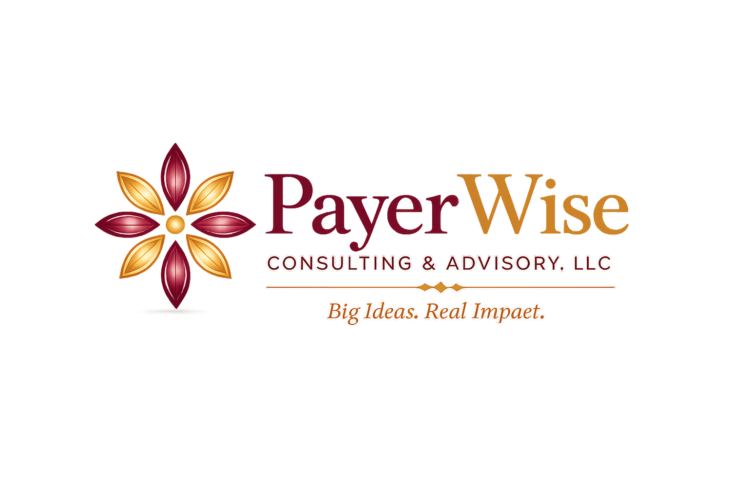PayerWise Consulting &amp; Advisory