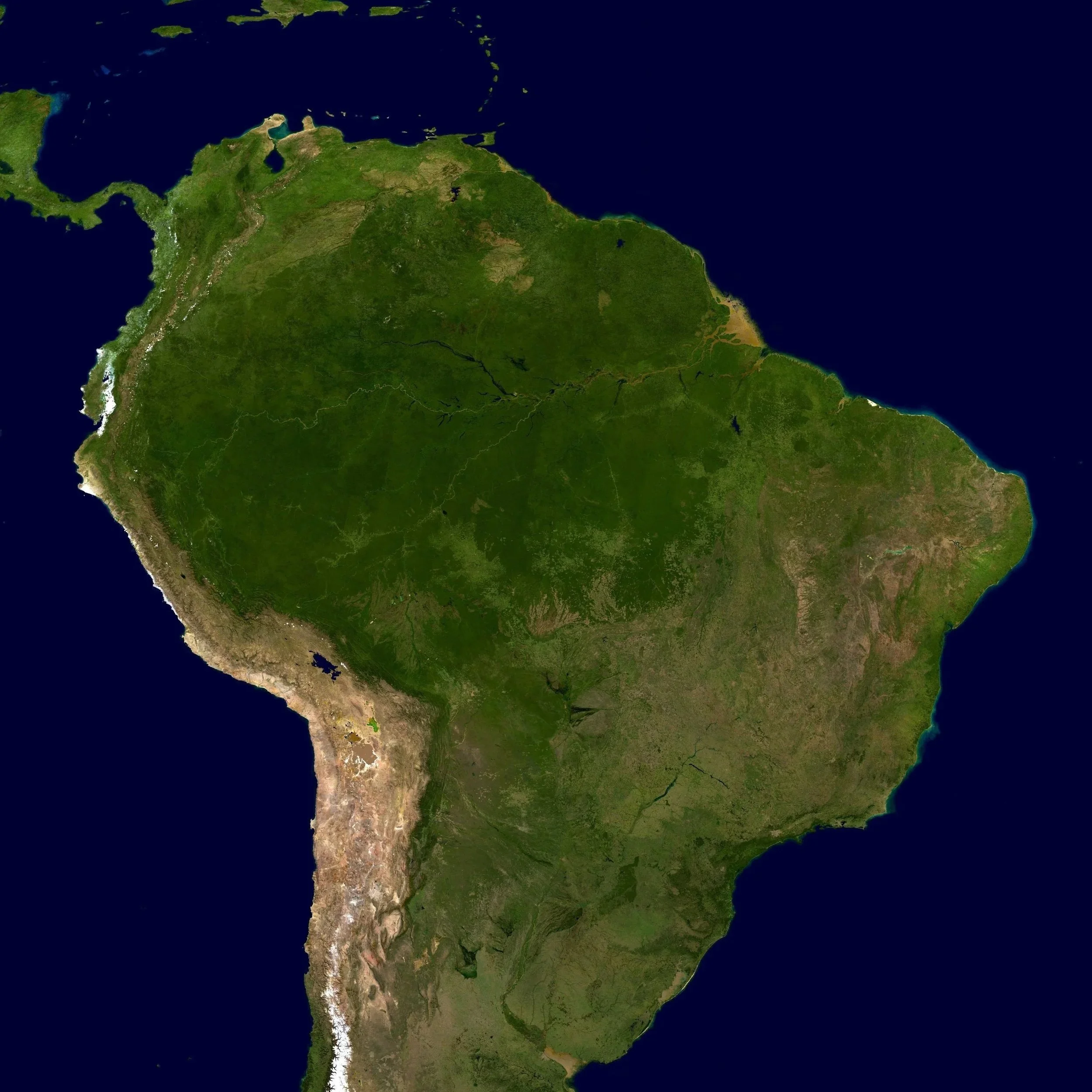 Elections in Latin America: Why Region's Far Right Is on the Rise