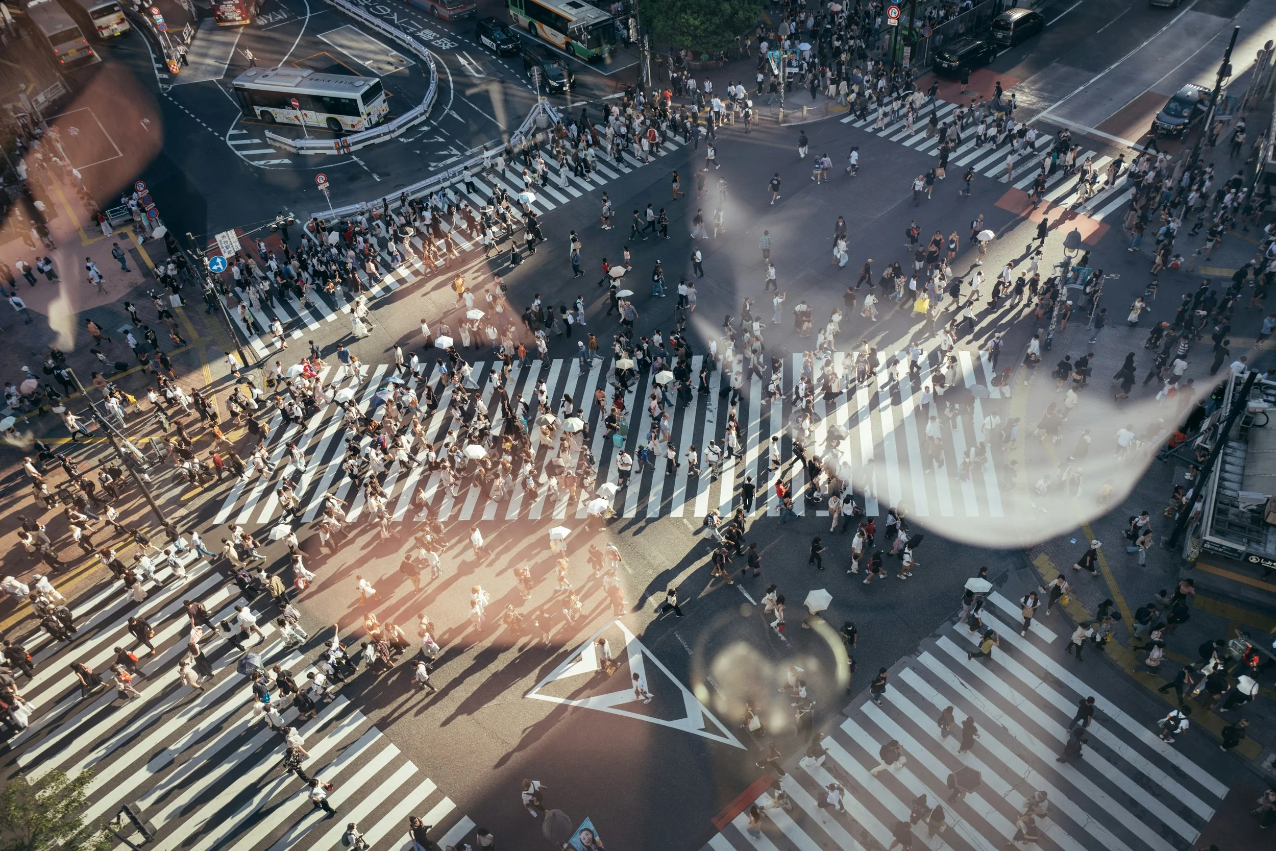 Life seems faster than ever. Dr. Jamie Ranger explores why and reveals what it costs us