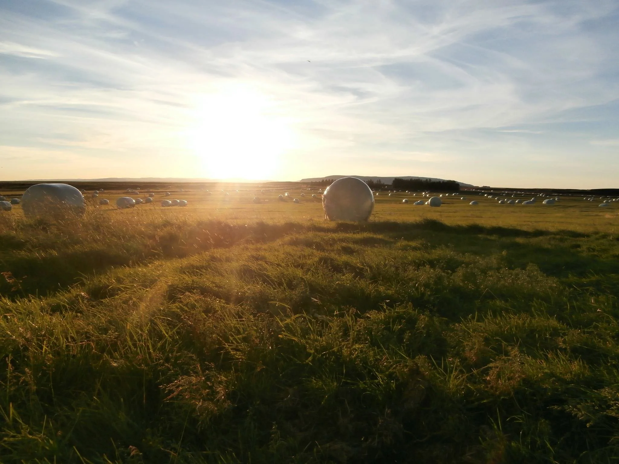 Hvað er elds­neytið þitt?