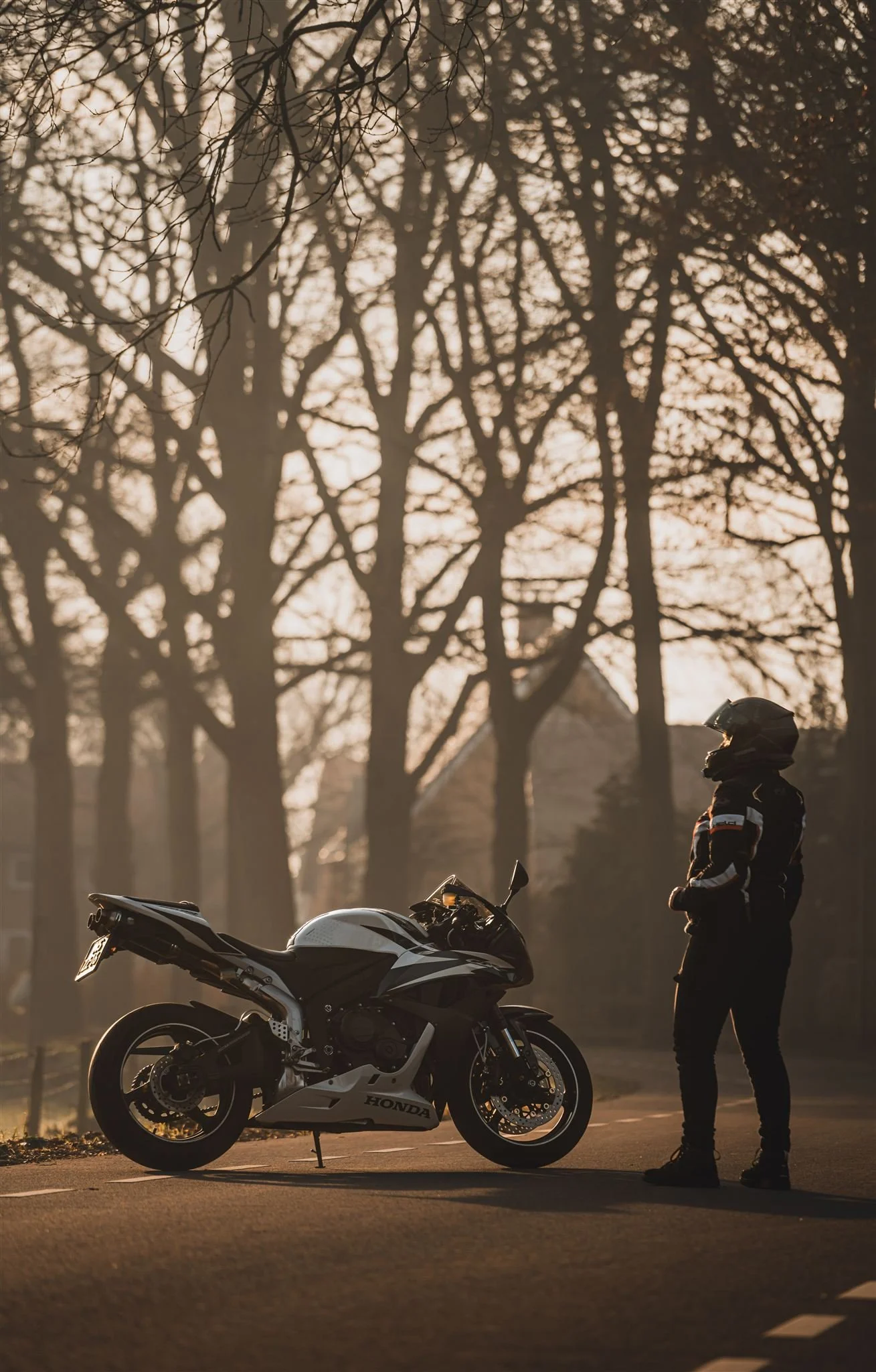 A motorcyclist standing beside a Honda sportbike on an empty road during sunset, with leafless trees in the background.