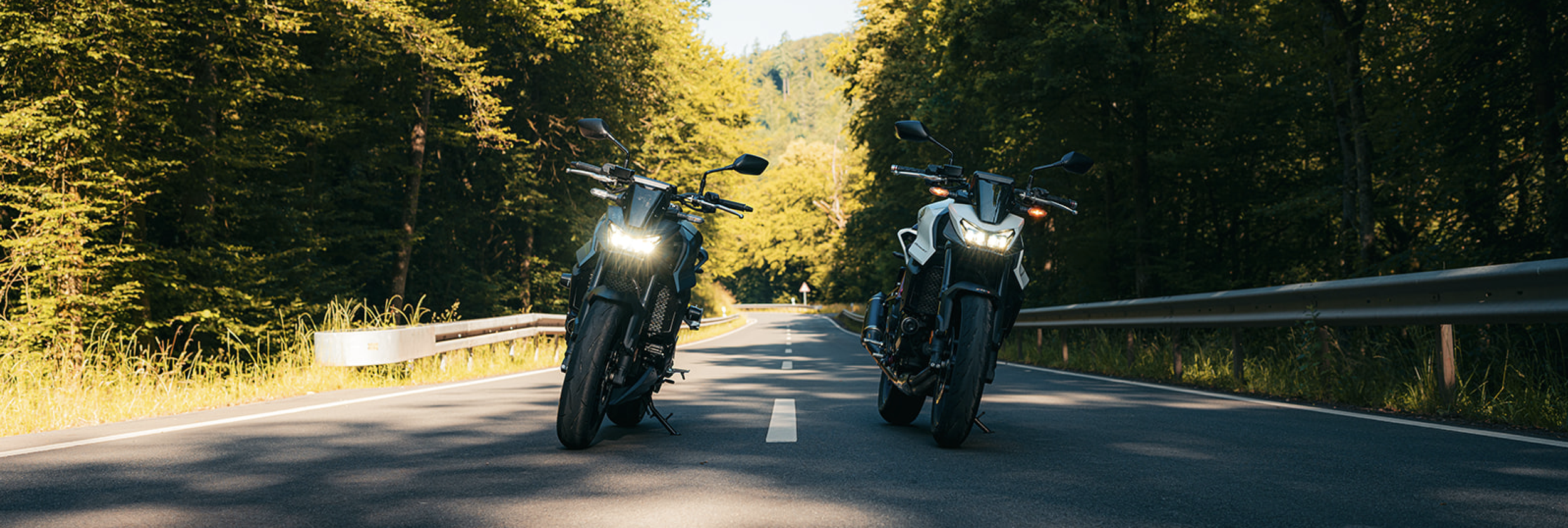 two motorcycles on a road in a forest, headlights on, ready to ride