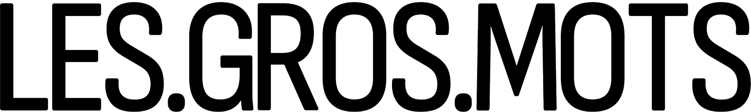 LESGROSMOTS