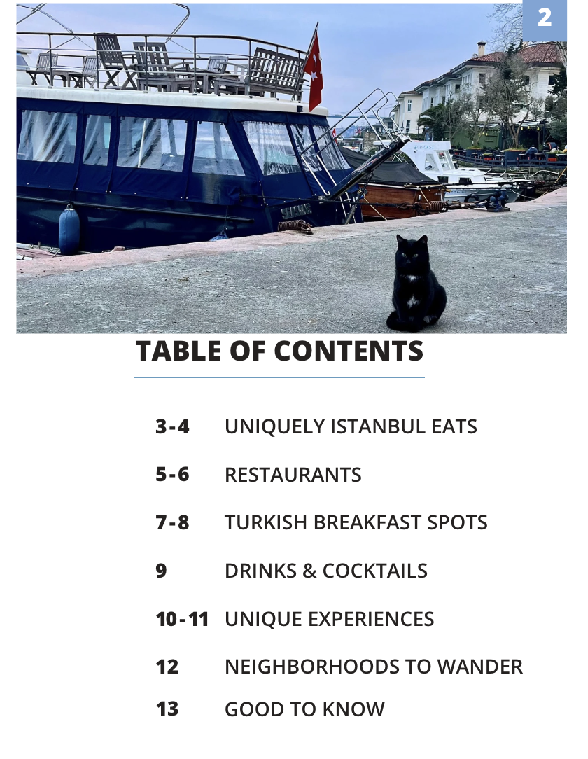 Screenshot 2026-02-05 at 10.10.32 AM.png