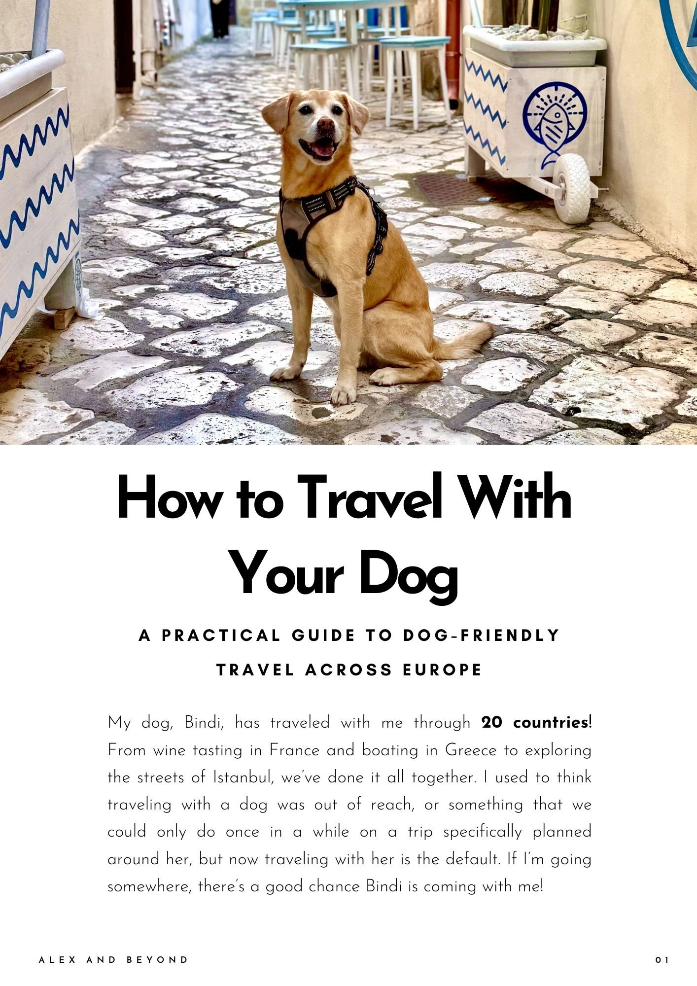 Dog-Friendly Travel Guide: Europe Edition