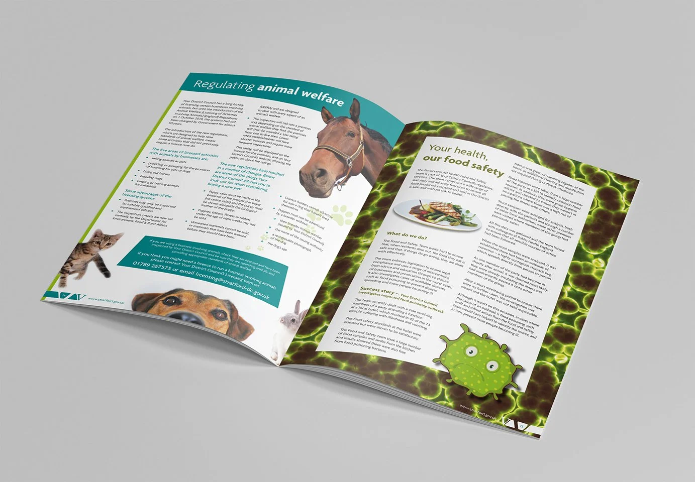 Stratford View — Vivid Frog Creative | Freelance Graphic Design Services