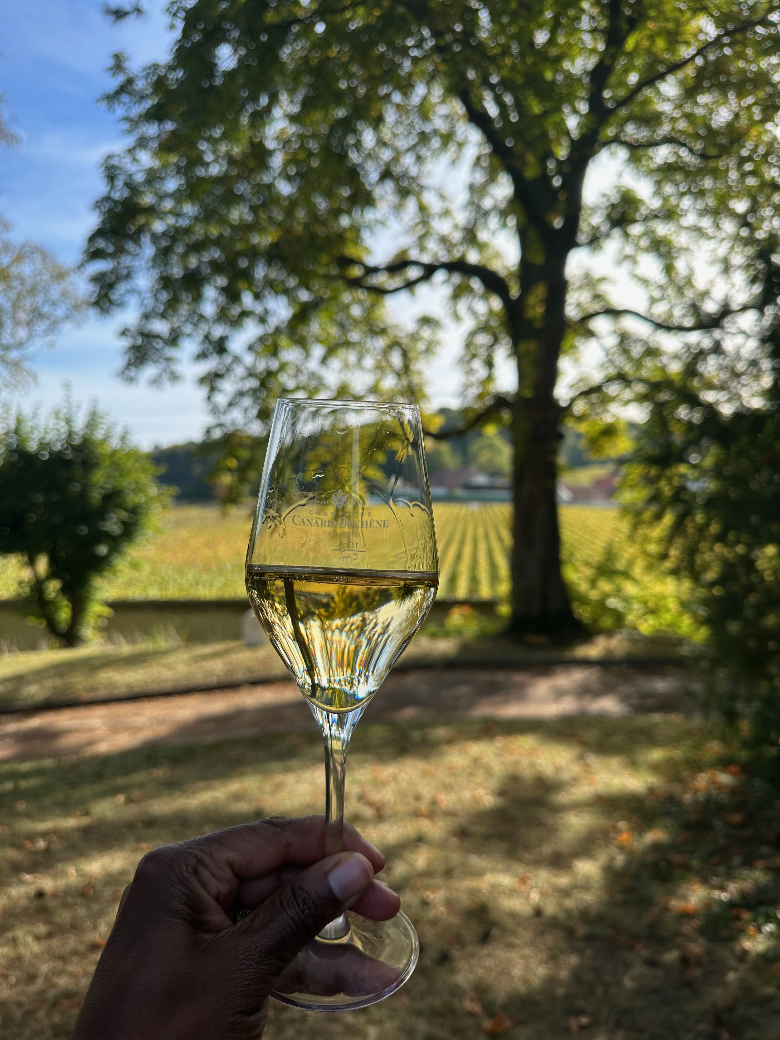 My Champagne Starter List