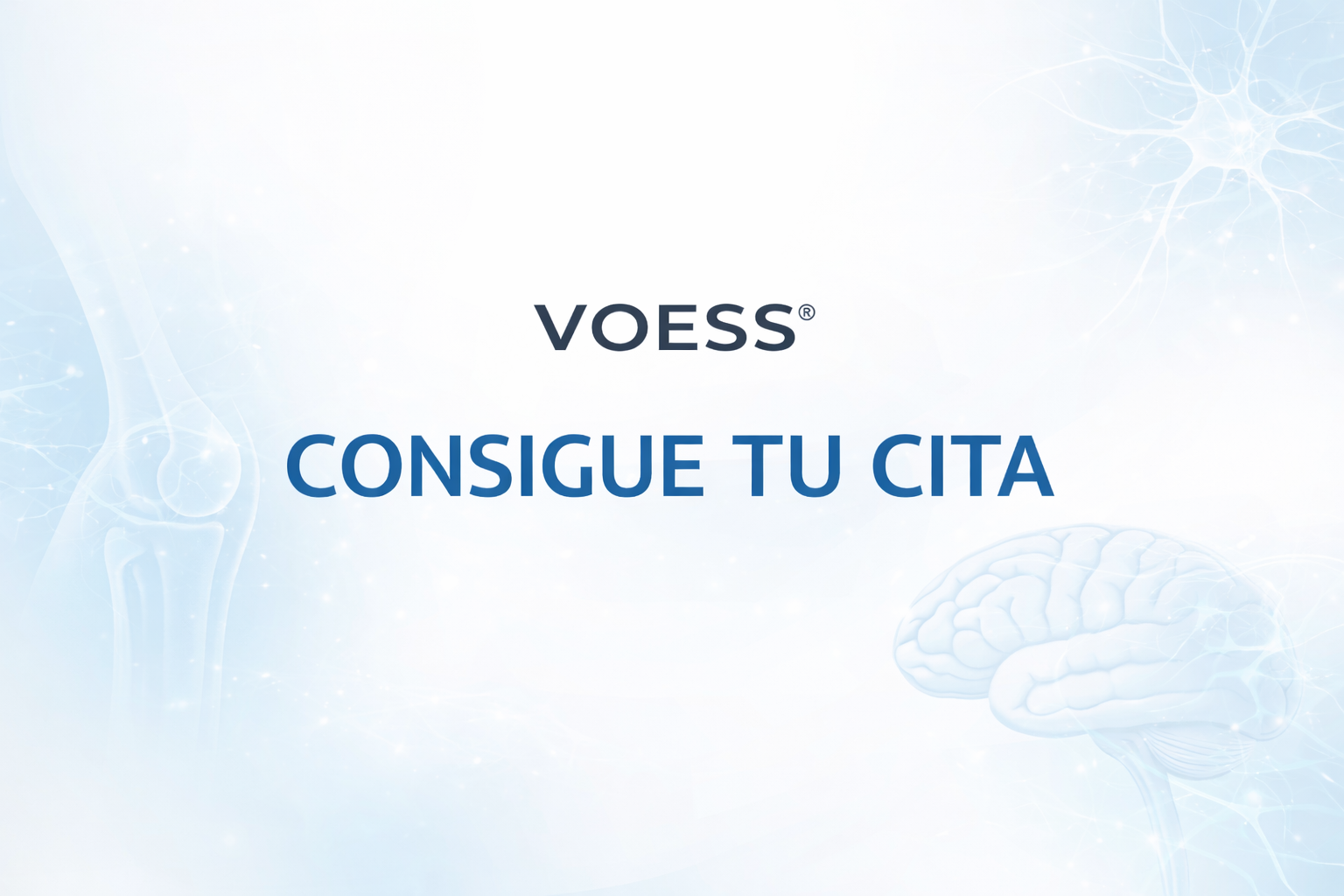 SESIÓN VOESS 45 MIN (ONLINE O PRESENCIAL)