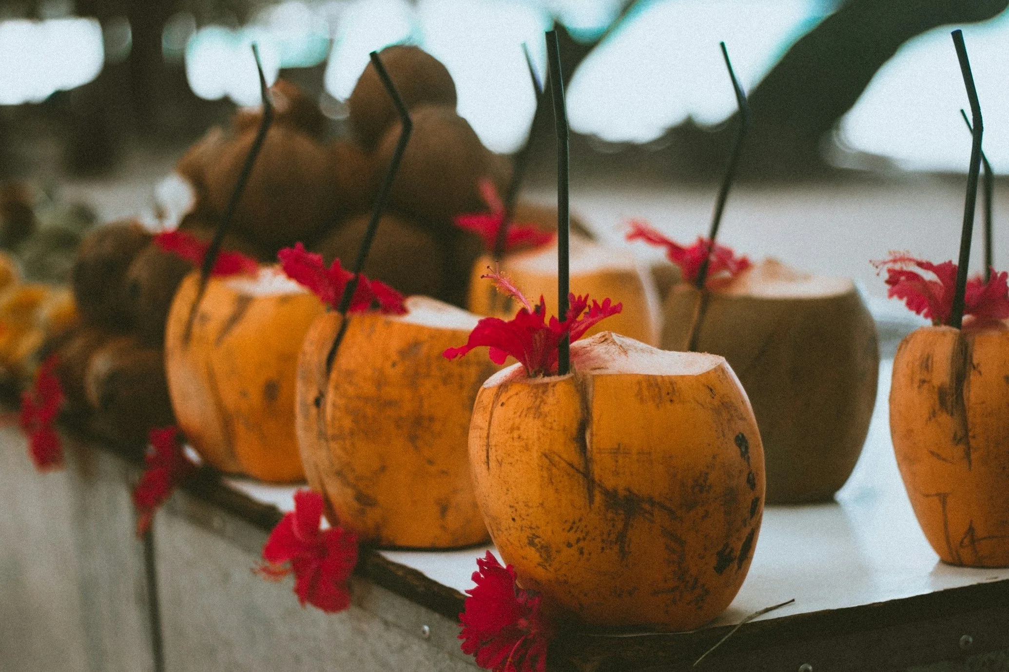 A row of hollowed-out yellow coconuts with red flowers inside, placed on a table with a white cloth. Each coconut has a black straw, and some have brown pebbles or objects inside.