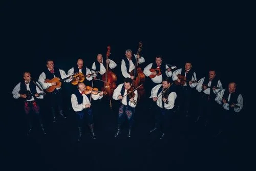 Orkestar Ansambla Lado