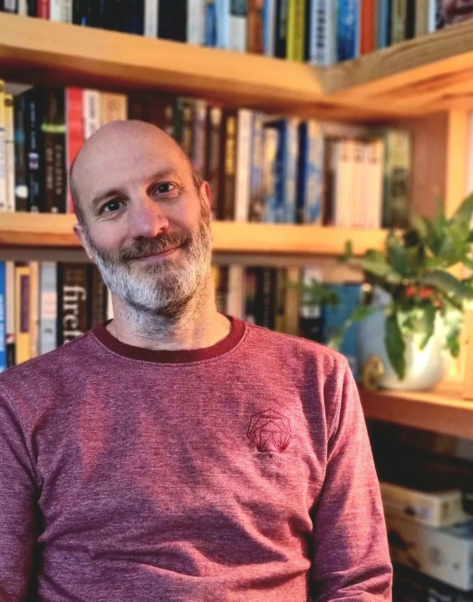 A smiling man with a beard and short hair, wearing a maroon shirt, standing in front of a bookshelf filled with books and a potted plant. James Cousins the author is sitting in his chair surrounded by detective crime fiction books