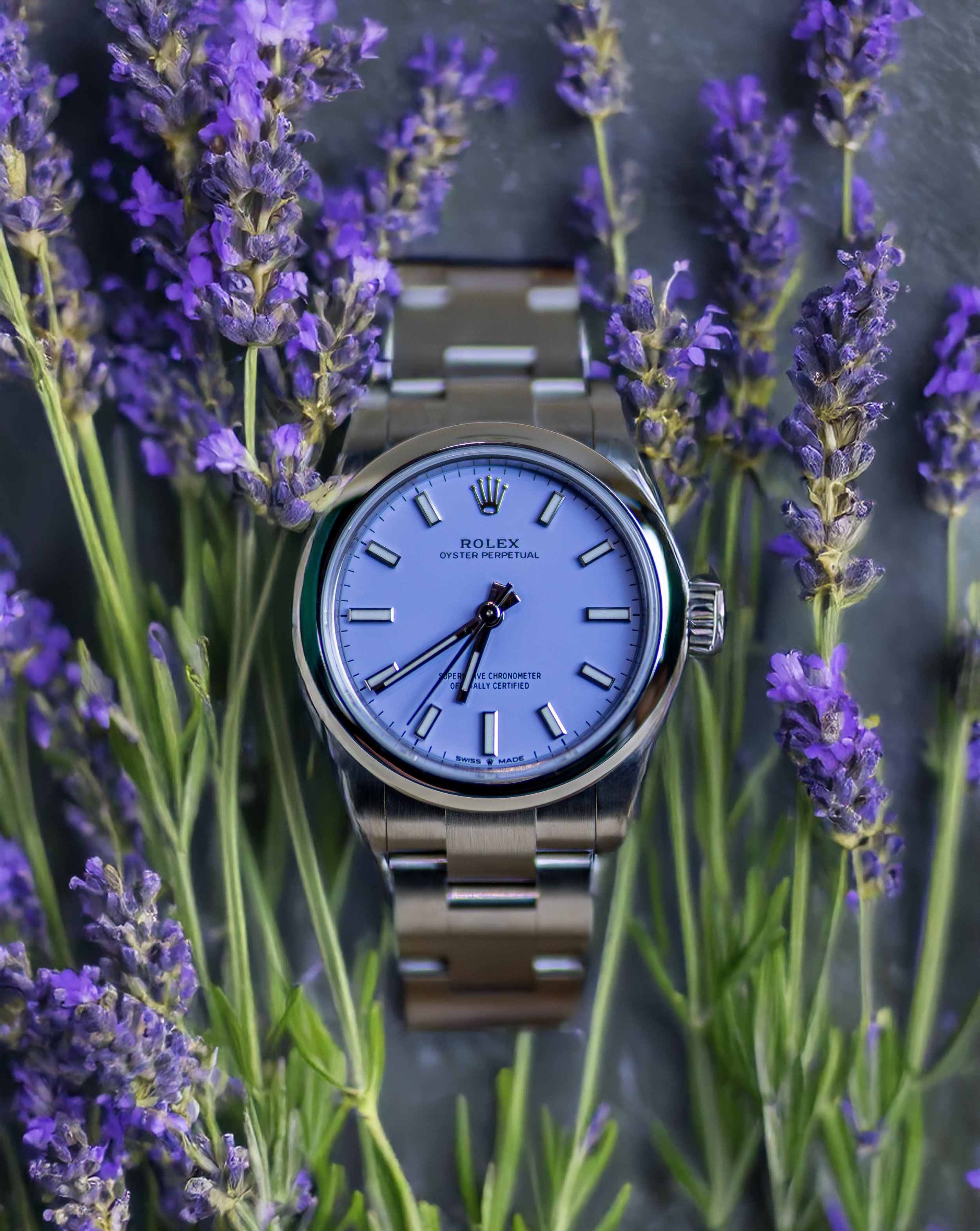 A Rolex Oyster Perpetual wristwatch with a light blue face, black hour, minute, and second hands, and silver hour markers, surrounded by sprigs of lavender flowers on a dark surface.