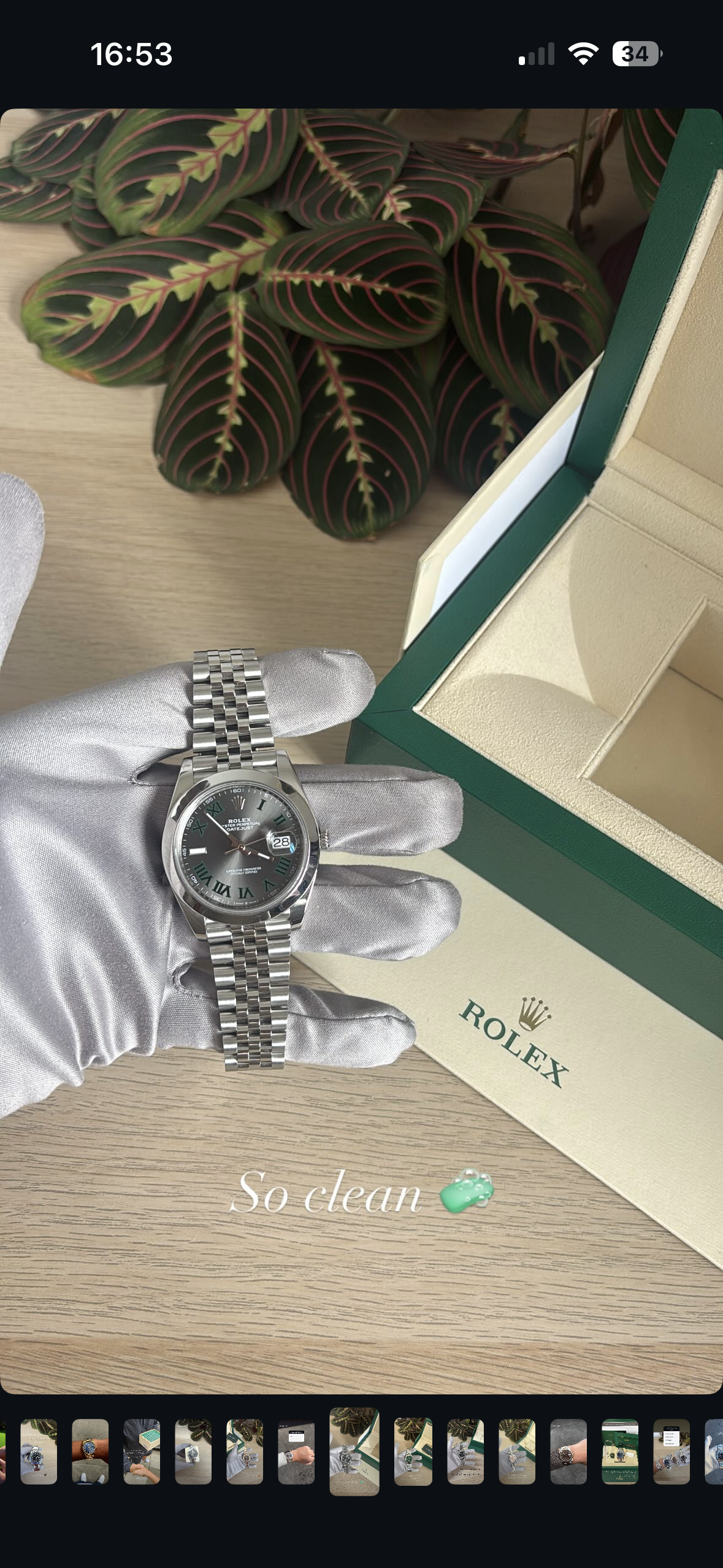A silver Rolex watch with a black face showing the date, held by a gloved hand, along with a Rolex box and a plant with green and pink leaves in the background.