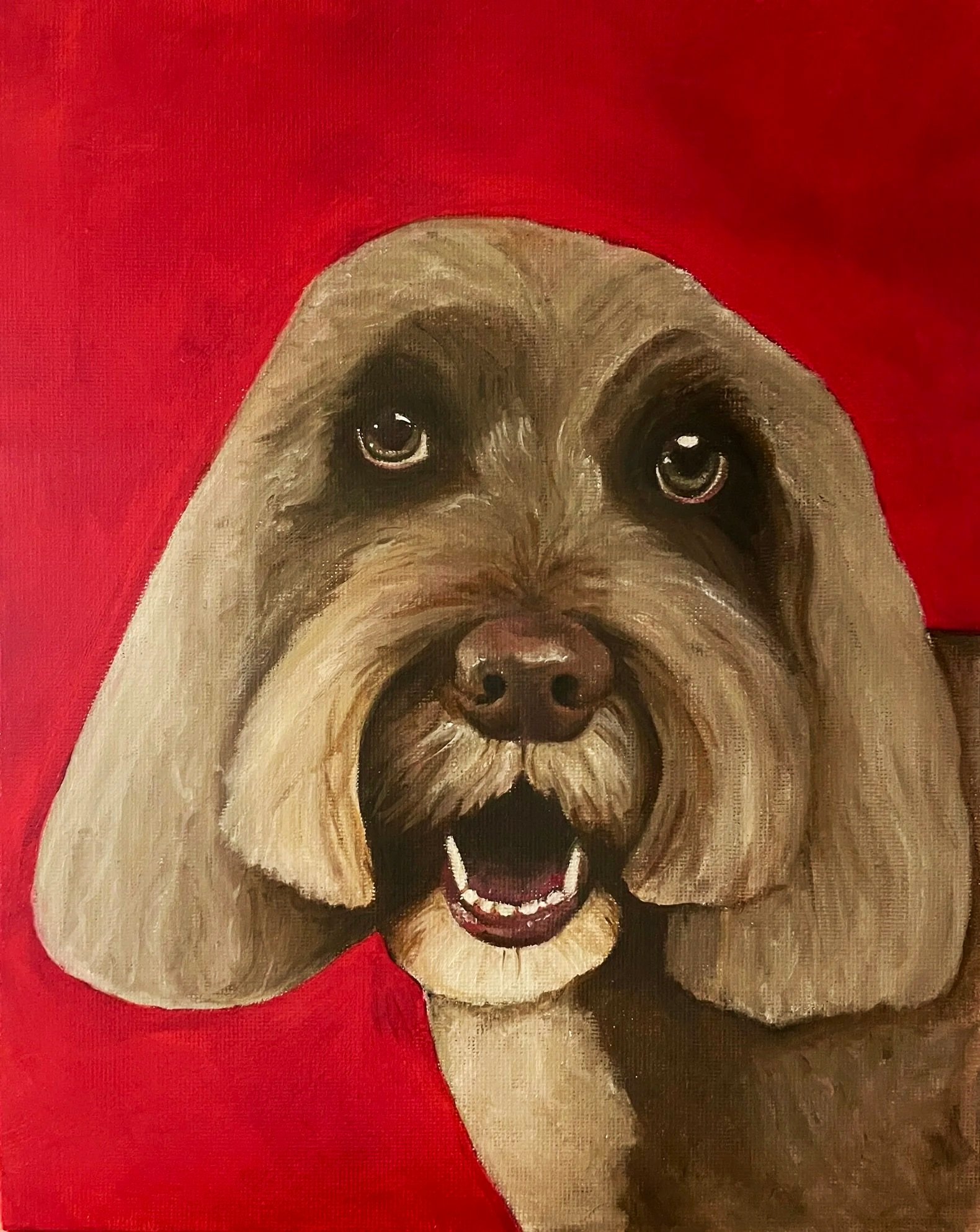 Gizmo gets a haircut.