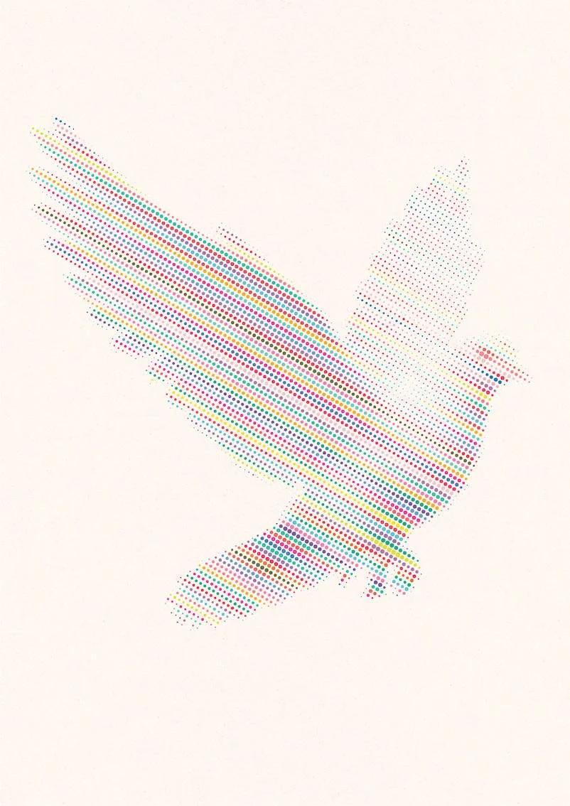 White Dove