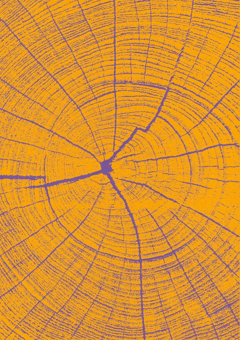 One Tree #2 by Paul Scott. One tree planted for every print sold.   Printed on Heavyweight archival 260gsm matte paper using fade resistant inks. 100% cotton rag , Acid-Free.