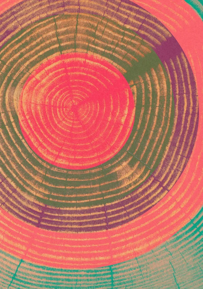 One Tree #5 by Paul Scott. One tree planted for every print sold.   Printed on Heavyweight archival 260gsm matte paper using fade resistant inks. 100% cotton rag , Acid-Free.