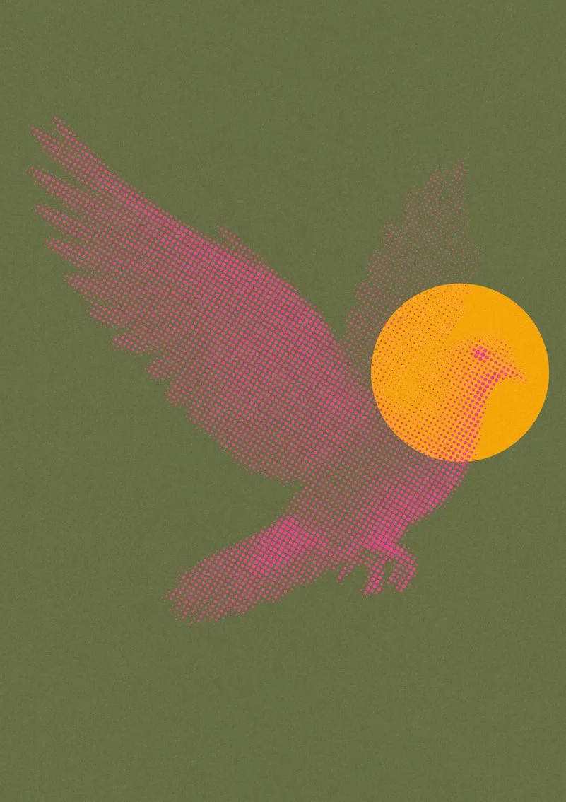 Dove-06.jpg