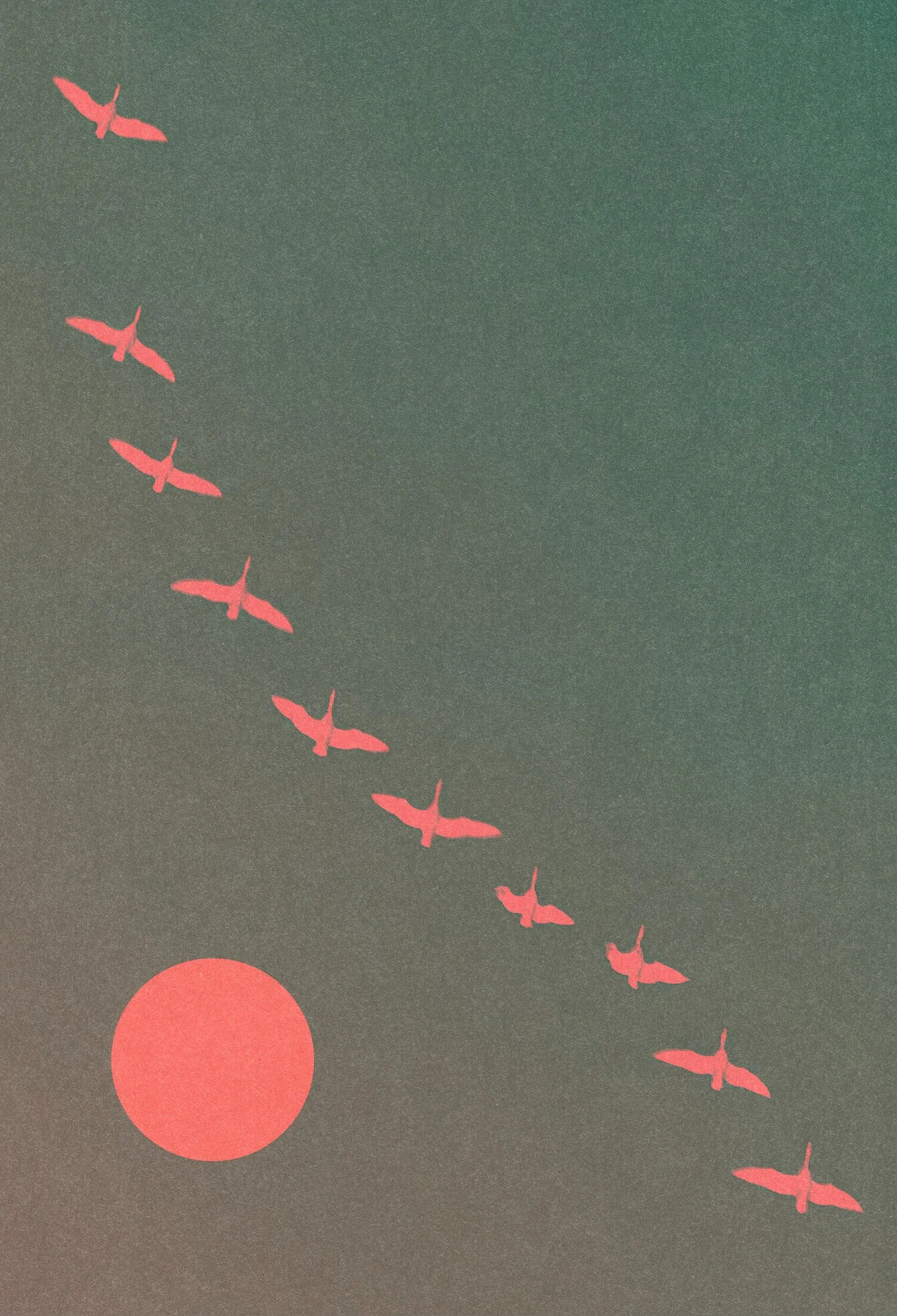 Flock #2 by graphic artist Paul Scott.  Printed on Heavyweight archival 260gsm matte paper using fade resistant inks. 100% cotton rag , Acid-Free. Design available in 3 colour options.