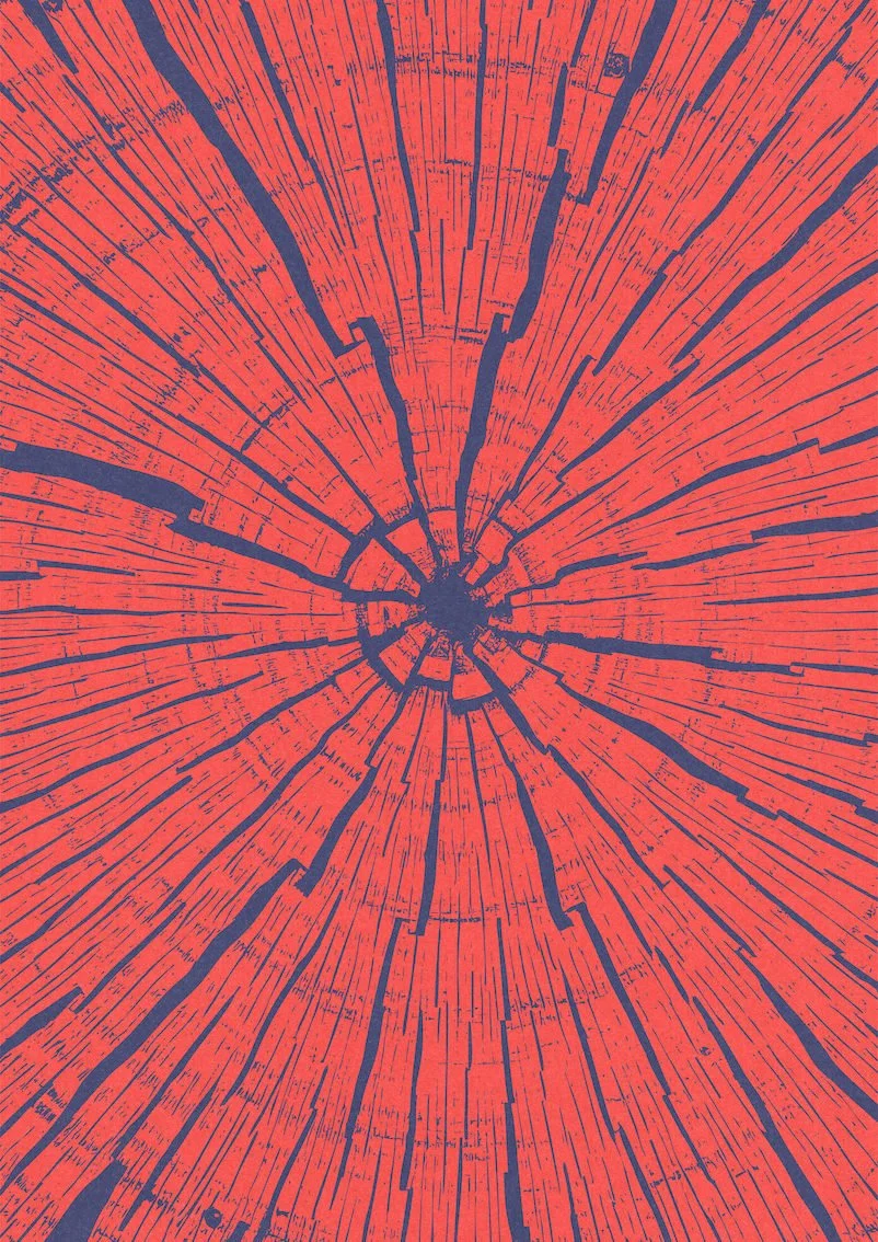 One Tree #1 by Paul Scott. One tree planted for every print sold.   Printed on Heavyweight archival 260gsm matte paper using fade resistant inks. 100% cotton rag , Acid-Free.