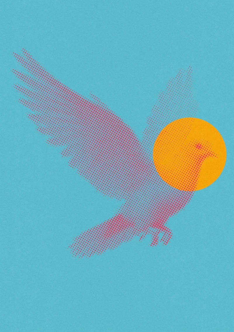 Dove-03.jpg
