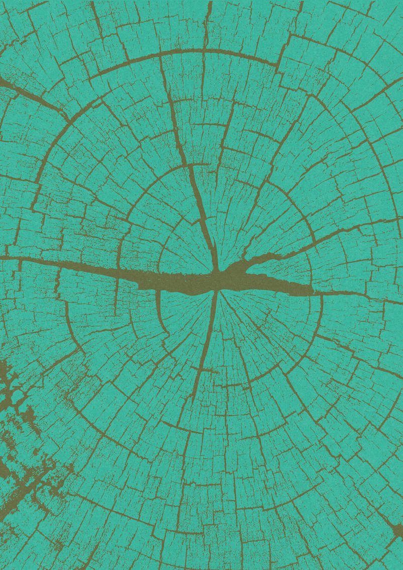 One Tree #3 by Paul Scott. One tree planted for every print sold.   Printed on Heavyweight archival 260gsm matte paper using fade resistant inks. 100% cotton rag , Acid-Free.