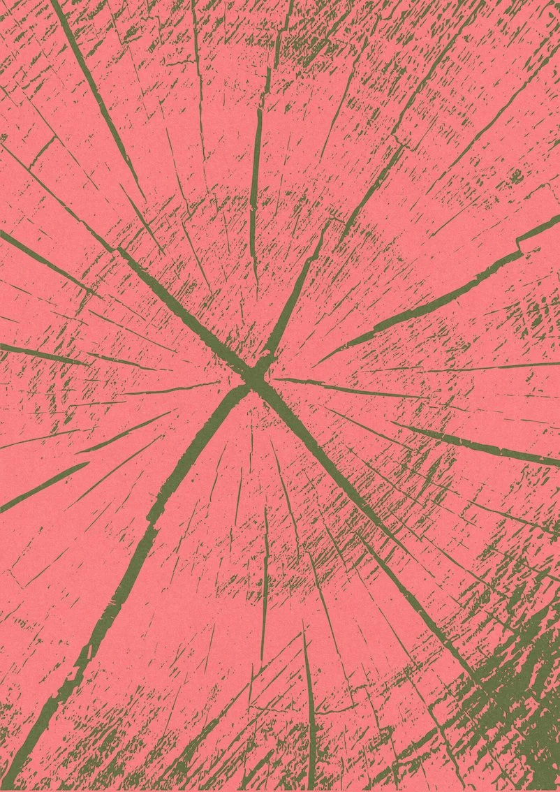 One Tree #4 by Paul Scott. One tree planted for every print sold.   Printed on Heavyweight archival 260gsm matte paper using fade resistant inks. 100% cotton rag , Acid-Free.