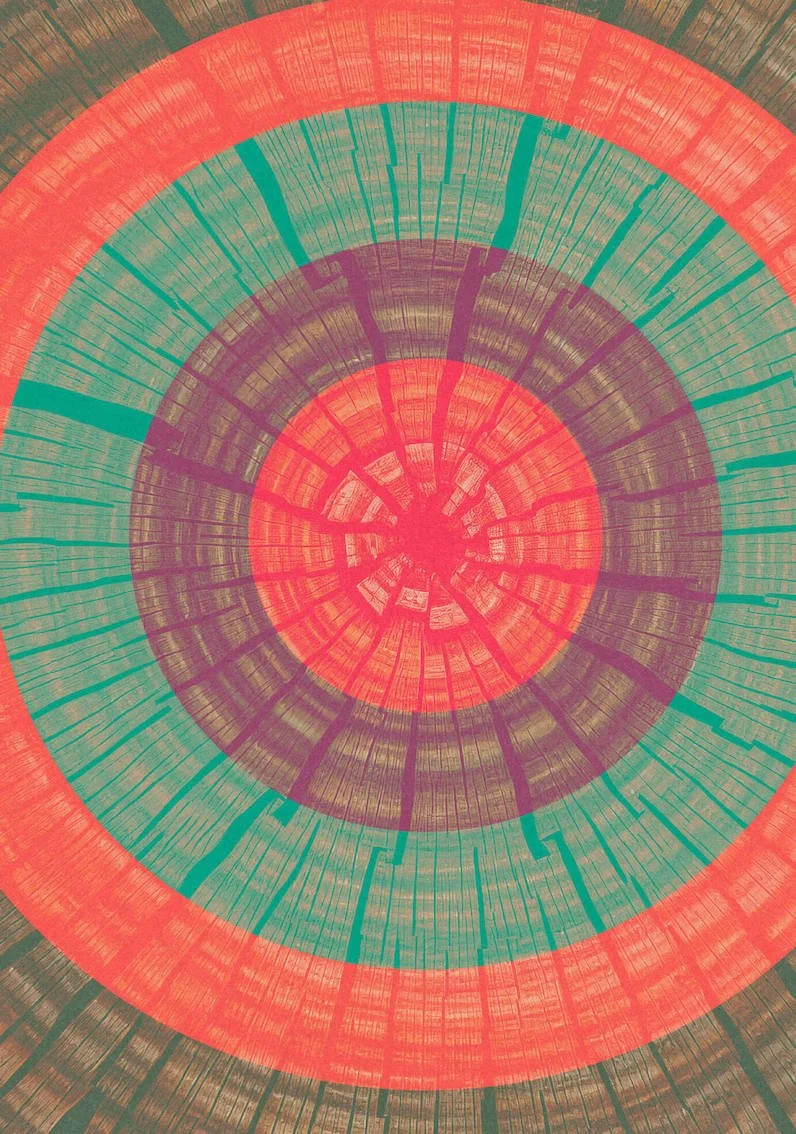 One Tree #8 by Paul Scott. One tree planted for every print sold.   Printed on Heavyweight archival 260gsm matte paper using fade resistant inks. 100% cotton rag , Acid-Free.