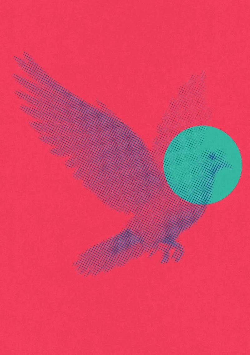 Dove-02.jpg