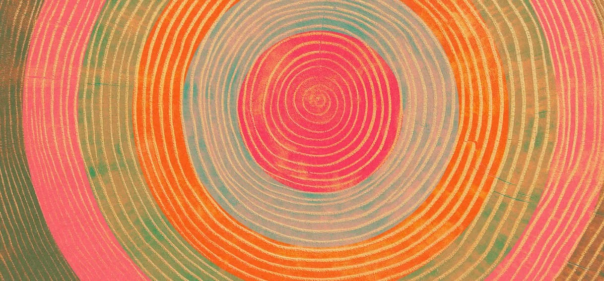 One Tree #7 by Paul Scott. One New Tree planted with every print sold. Printed on Heavyweight archival 260gsm matte paper using fade resistant inks.
100% cotton rag, Acid-Free. shop at www.paulscott.studio